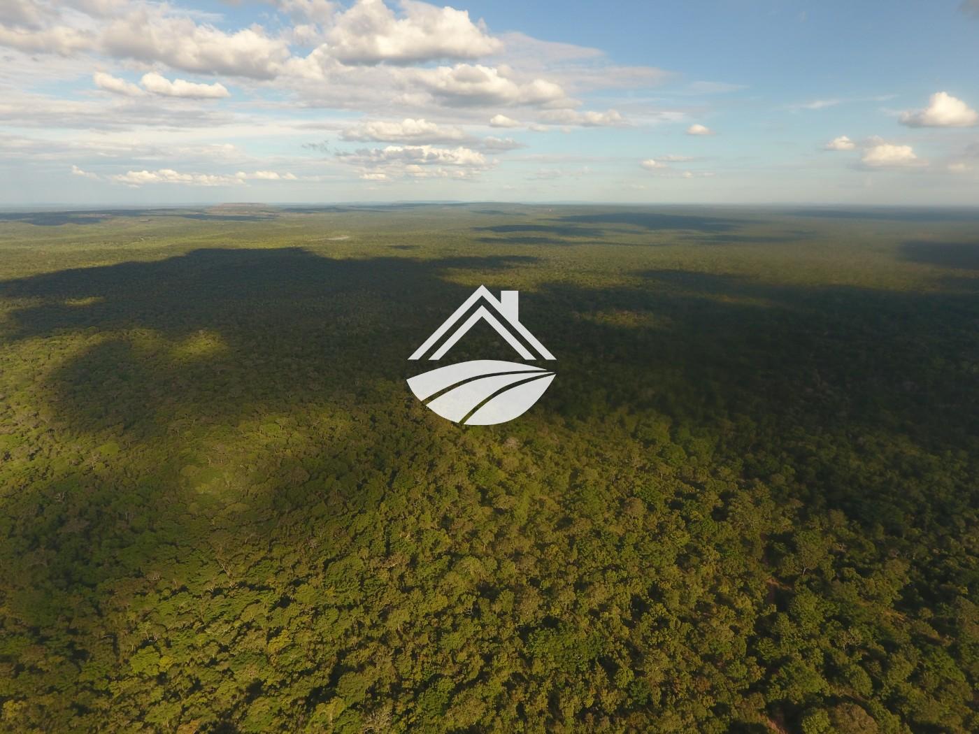 Fazenda, 1 m² - Foto 18