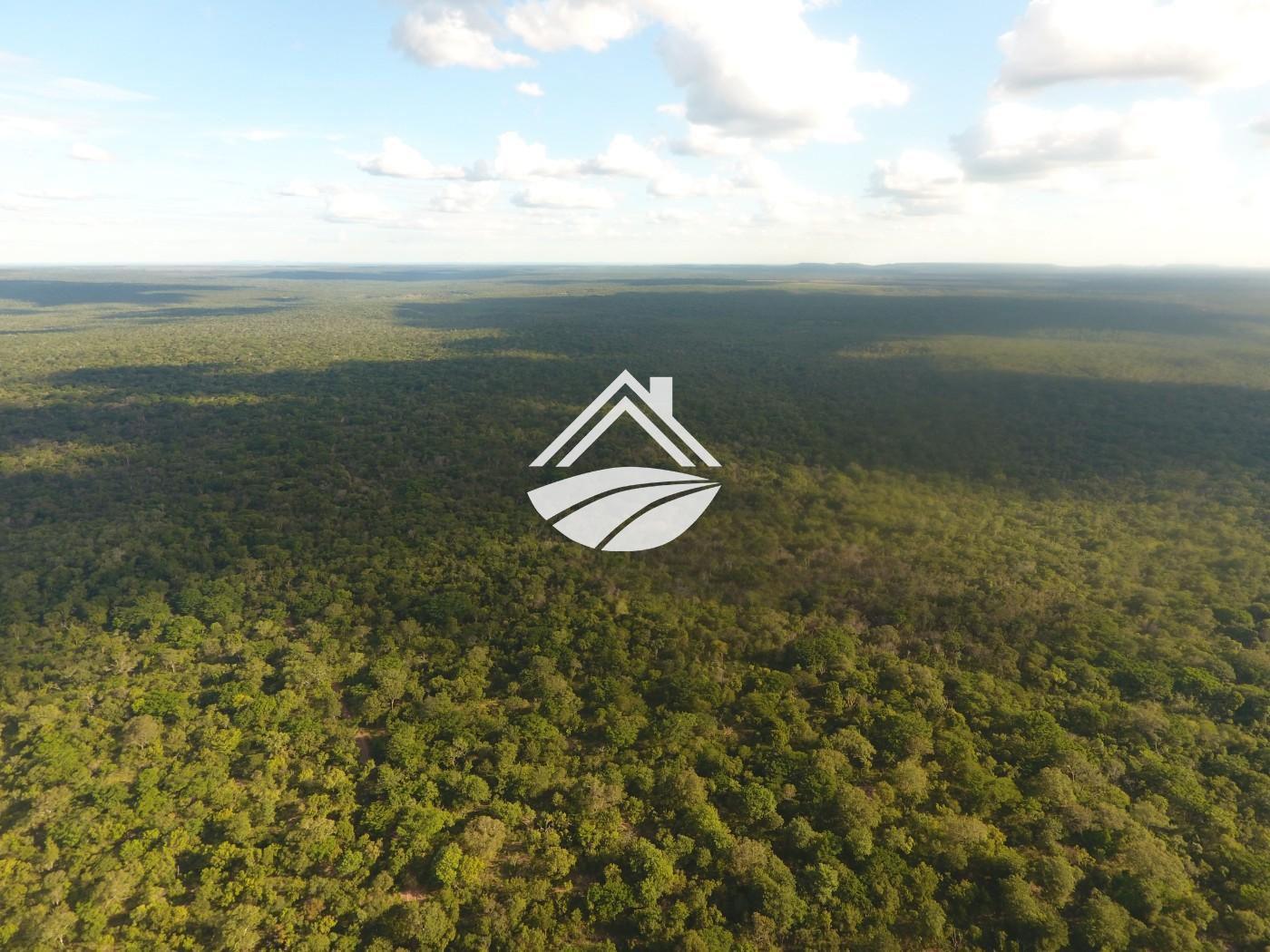 Fazenda, 1 m² - Foto 19