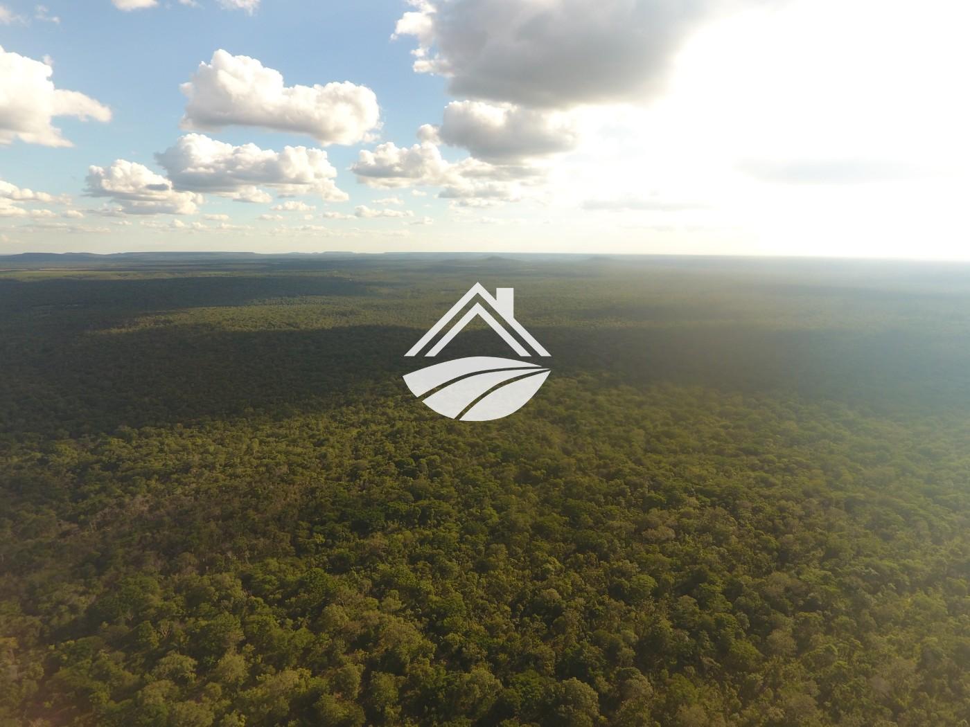 Fazenda, 1 m² - Foto 20