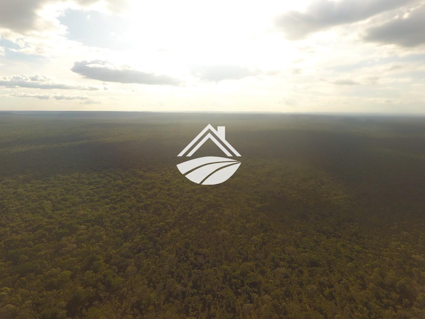 Fazenda, 1 m² - Foto 21