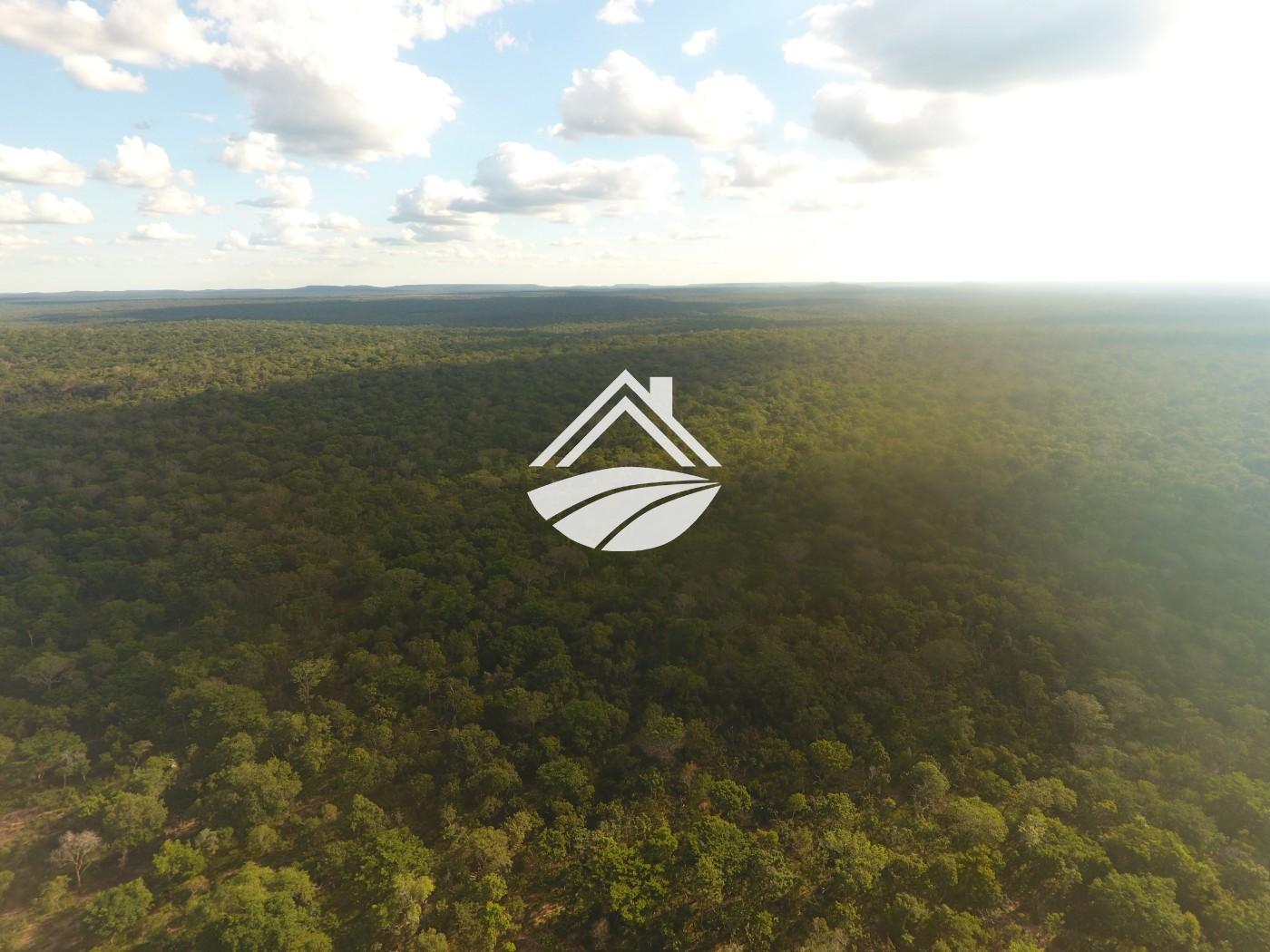 Fazenda, 1 m² - Foto 25