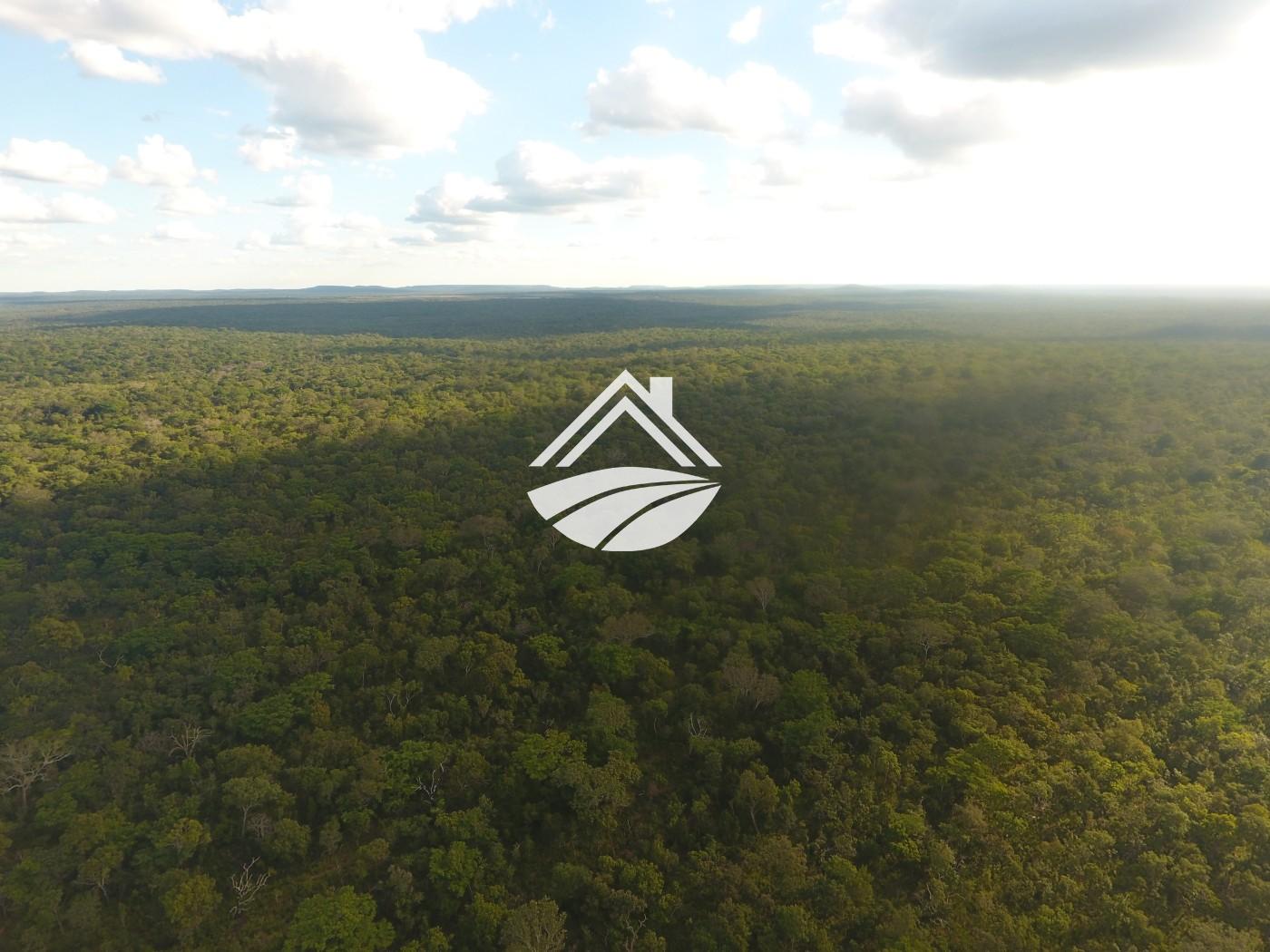 Fazenda, 1 m² - Foto 26