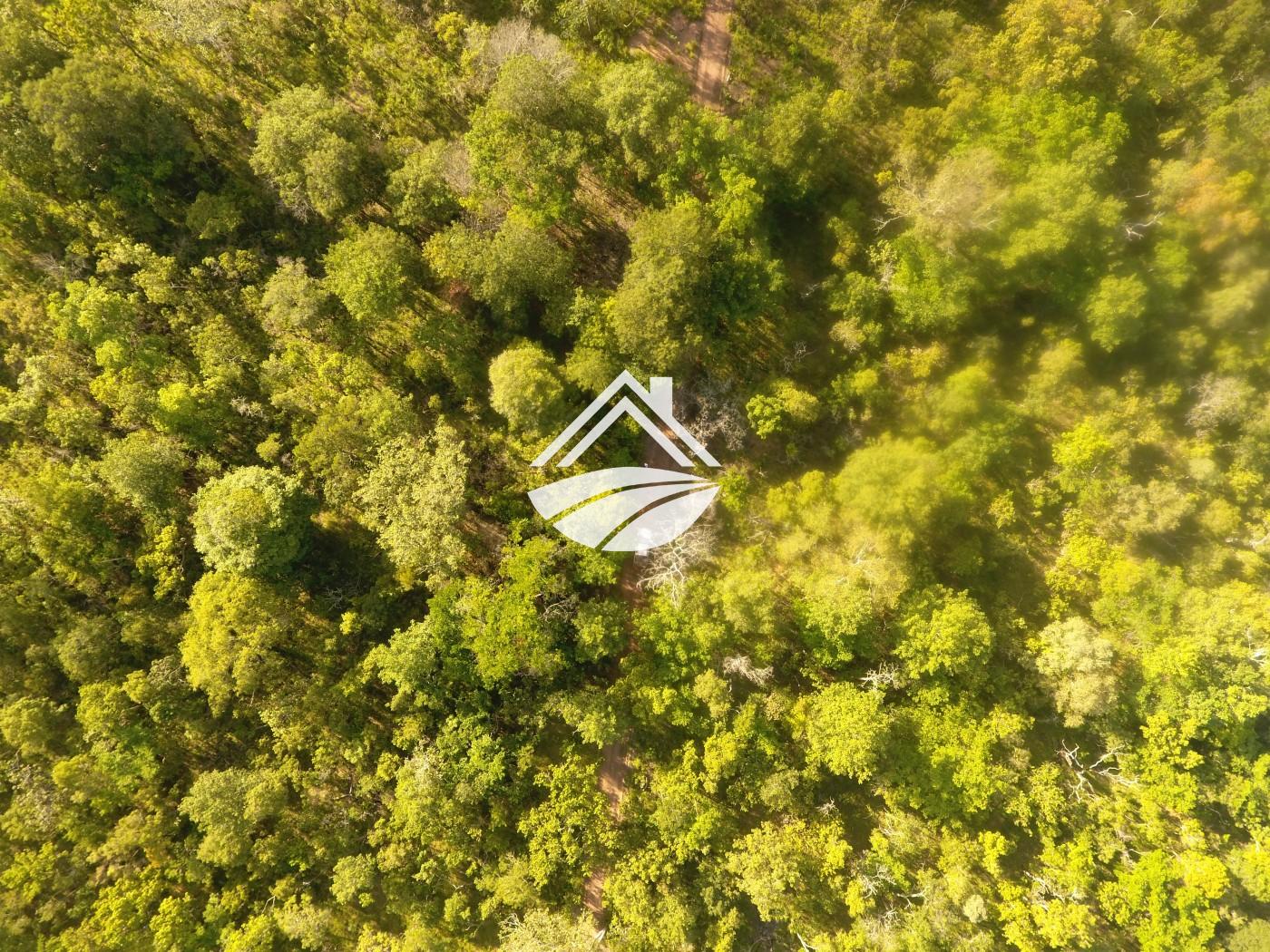 Fazenda, 1 m² - Foto 27