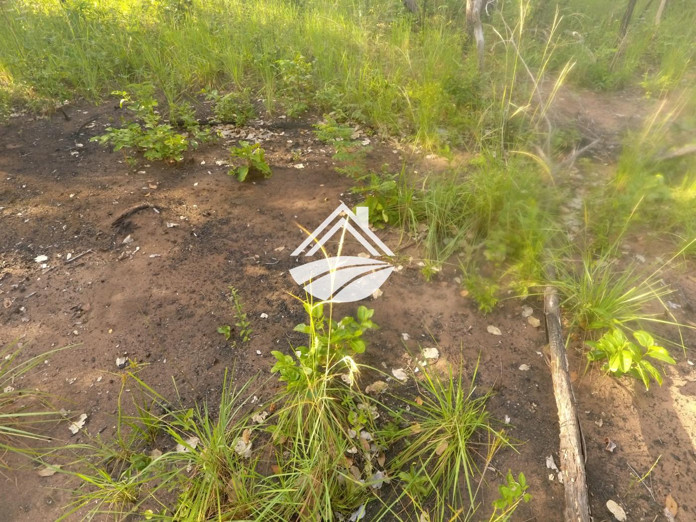 Fazenda, 1 m² - Foto 28