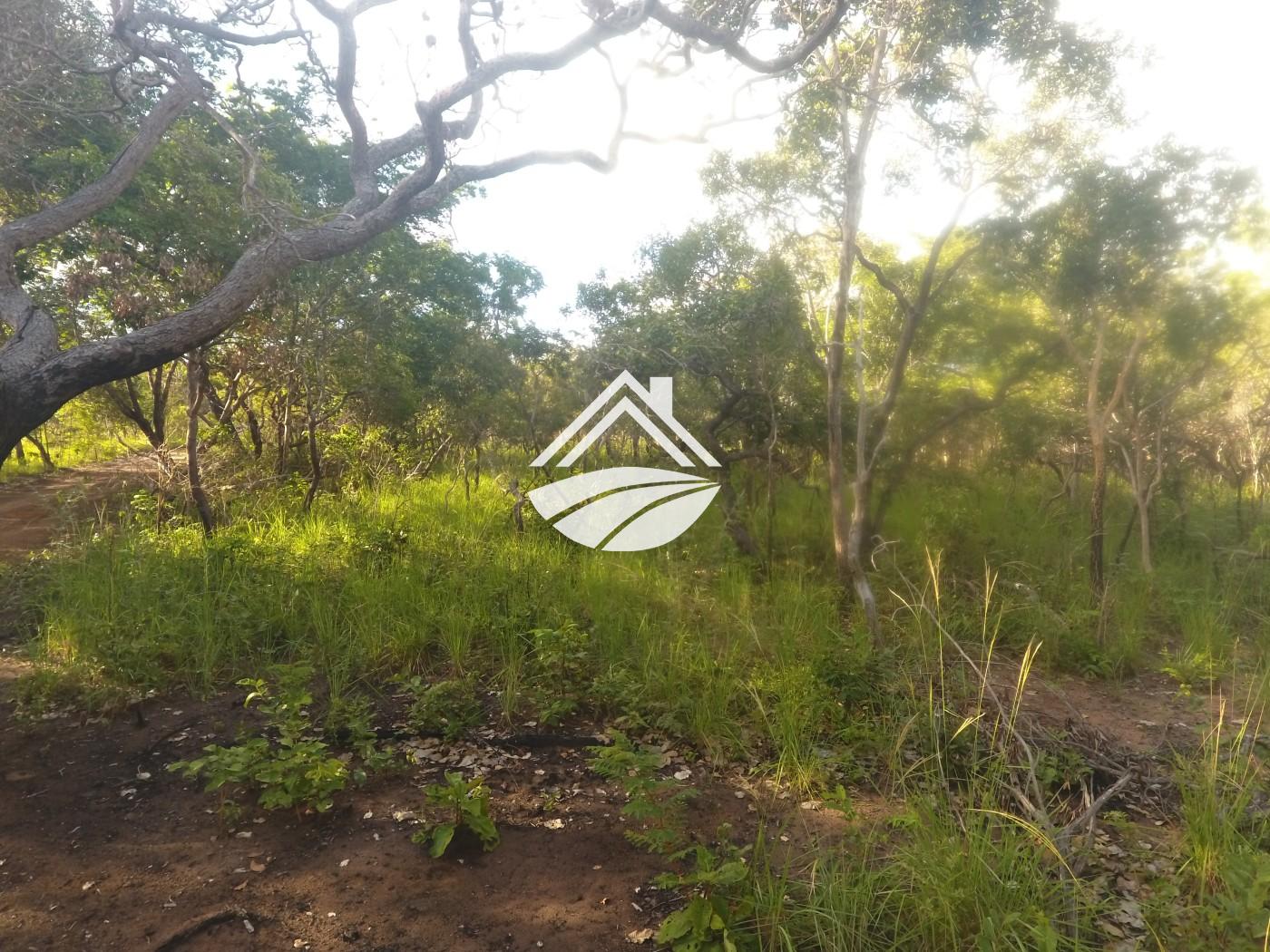 Fazenda, 1 m² - Foto 29