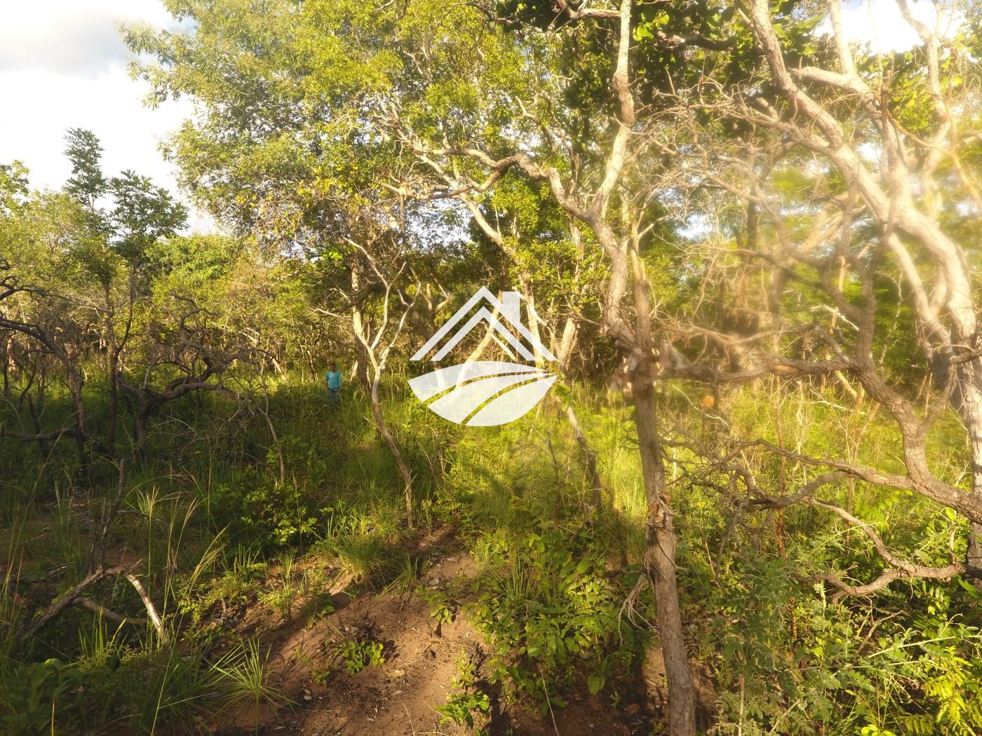 Fazenda, 1 m² - Foto 30