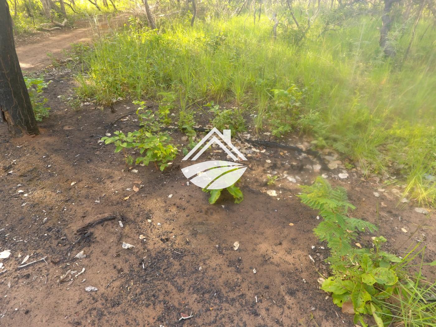 Fazenda, 1 m² - Foto 32