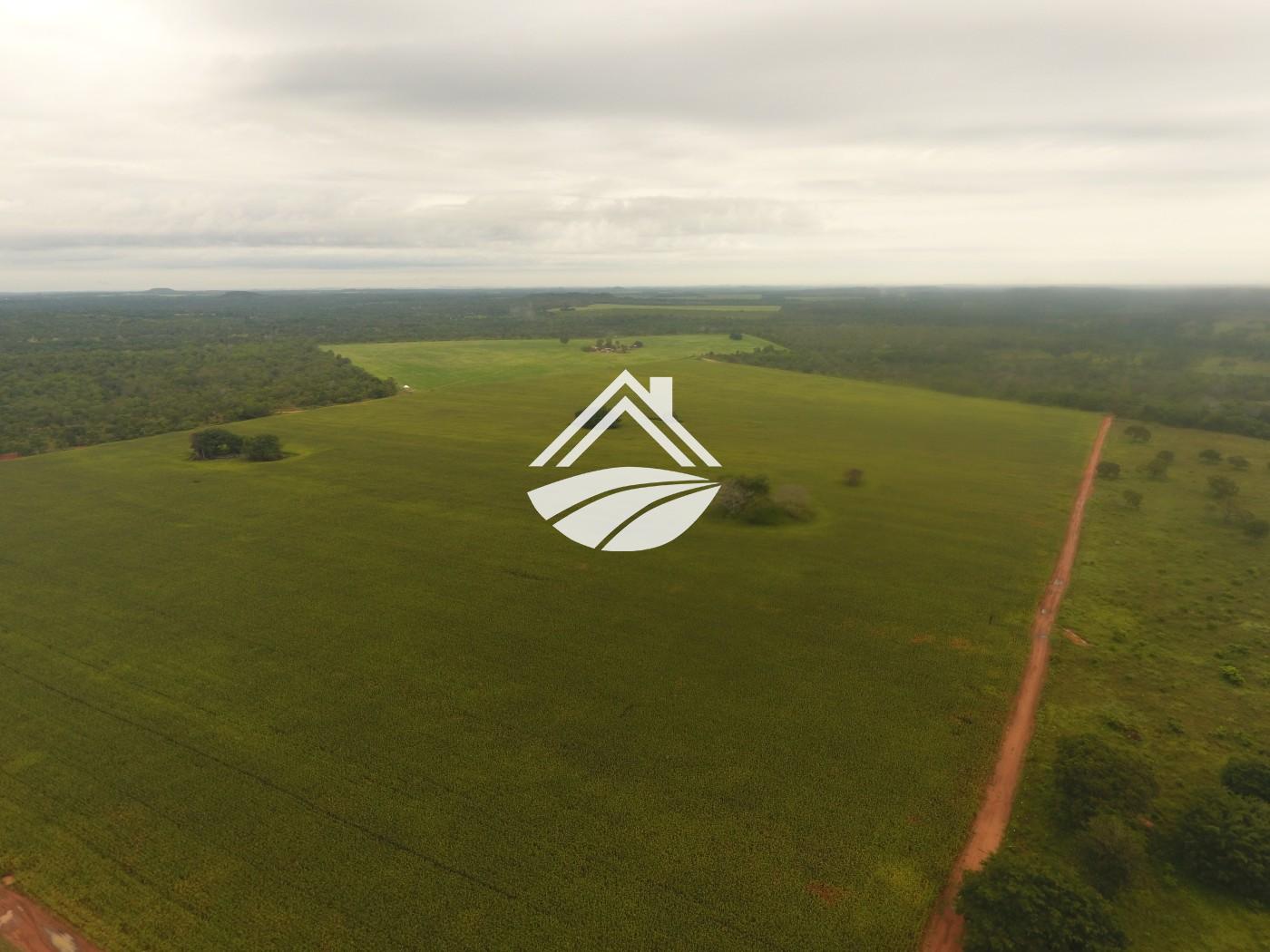 Fazenda, 1 m² - Foto 12