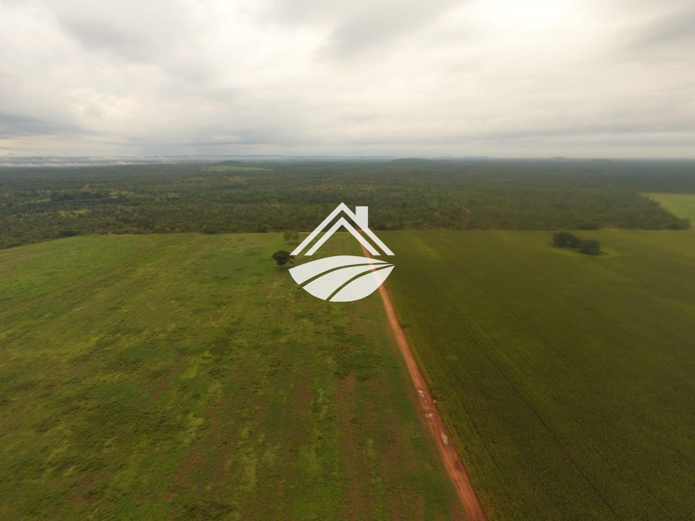 Fazenda, 1 m² - Foto 5