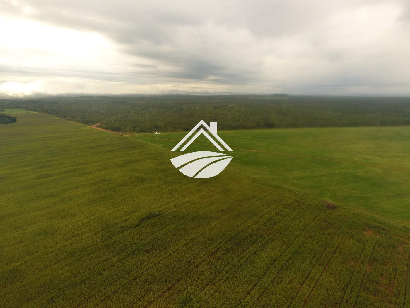 Fazenda, 1 m² - Foto 14