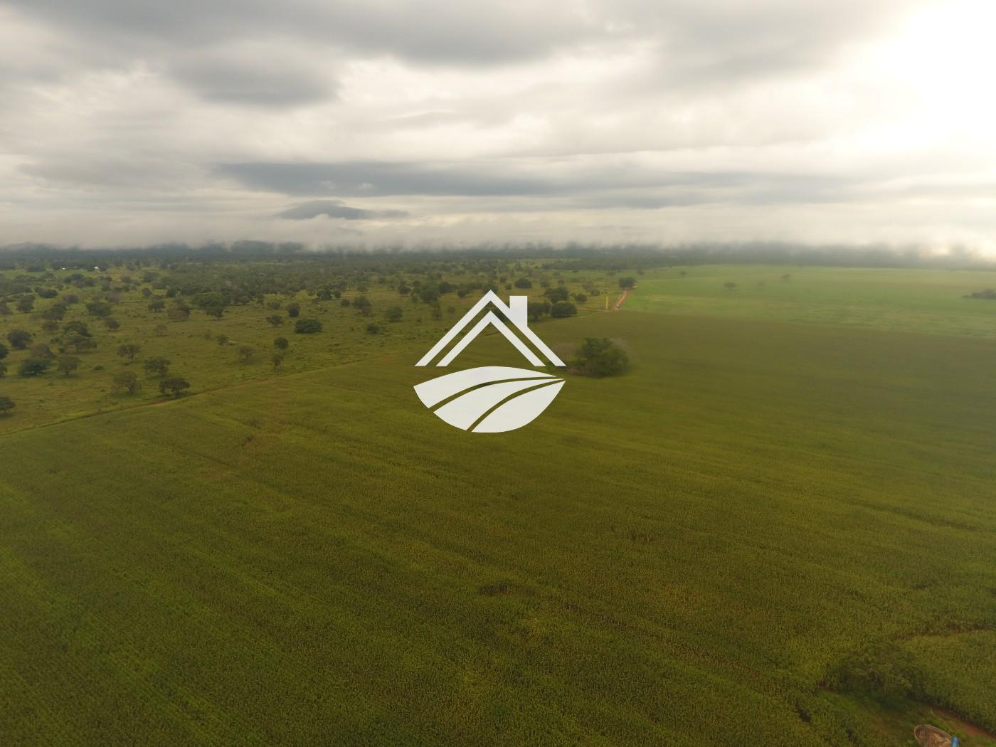 Fazenda, 1 m² - Foto 16