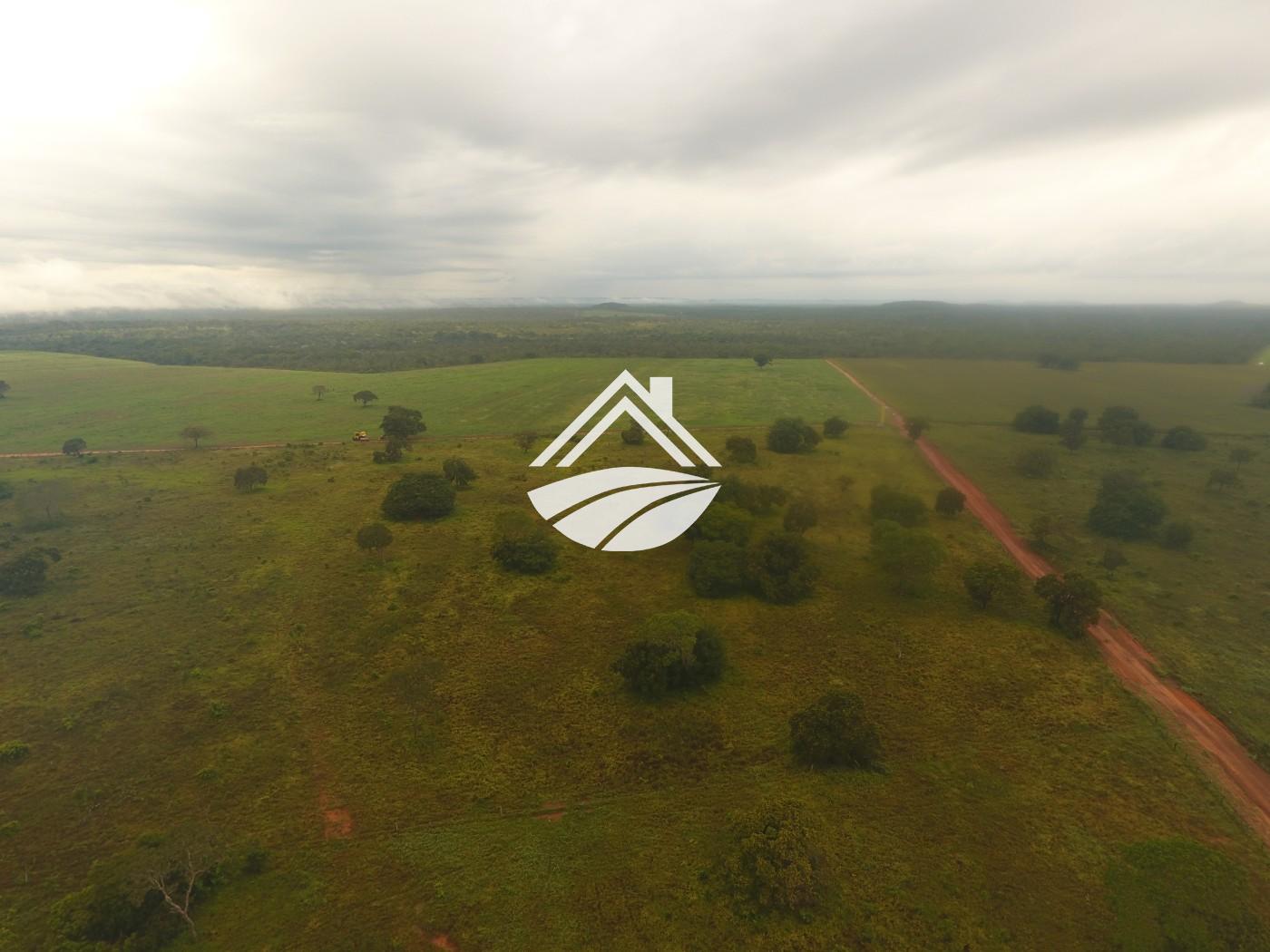 Fazenda, 1 m² - Foto 23