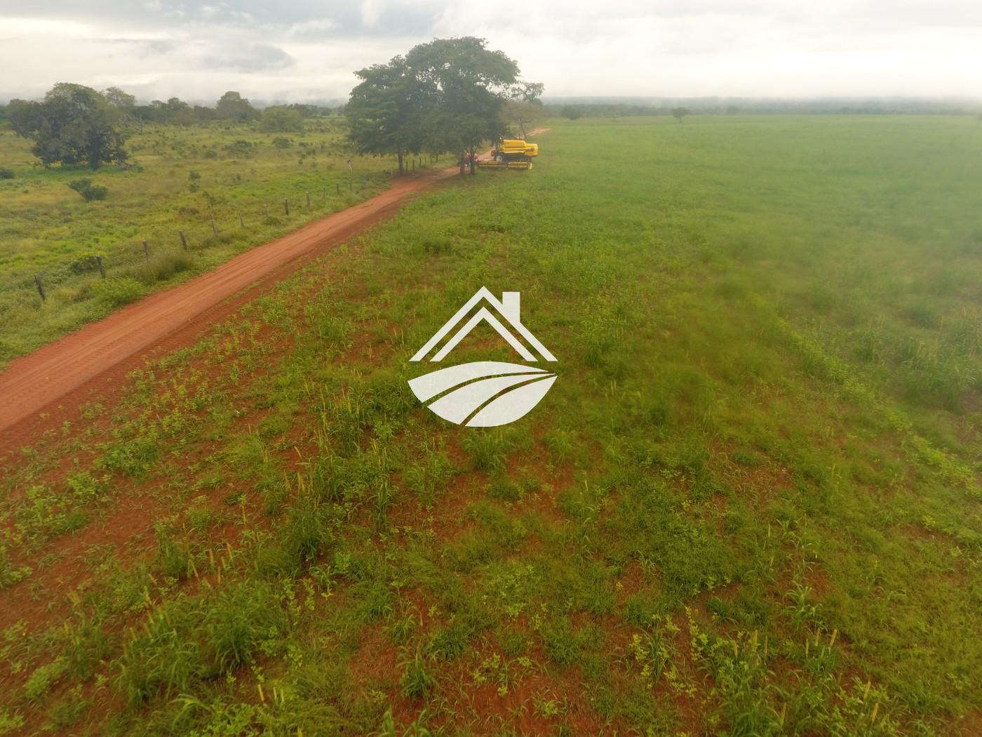 Fazenda, 1 m² - Foto 25