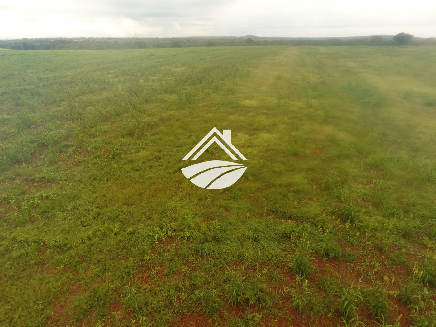 Fazenda, 1 m² - Foto 26