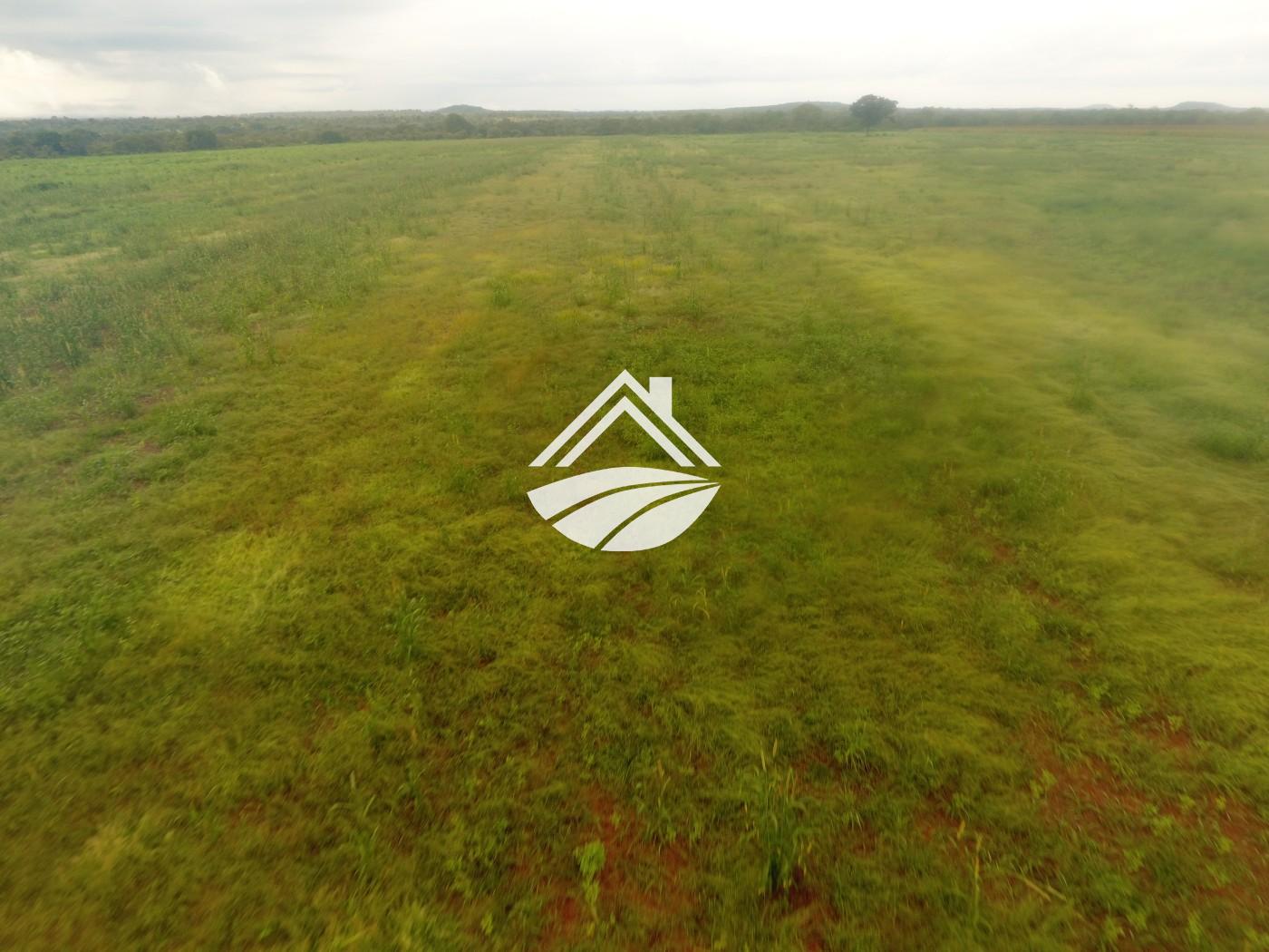 Fazenda, 1 m² - Foto 27