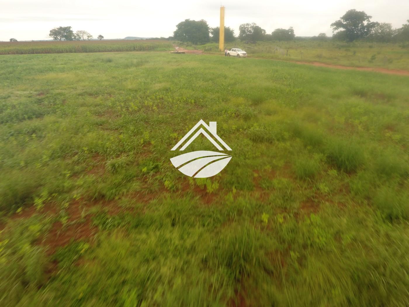 Fazenda, 1 m² - Foto 28