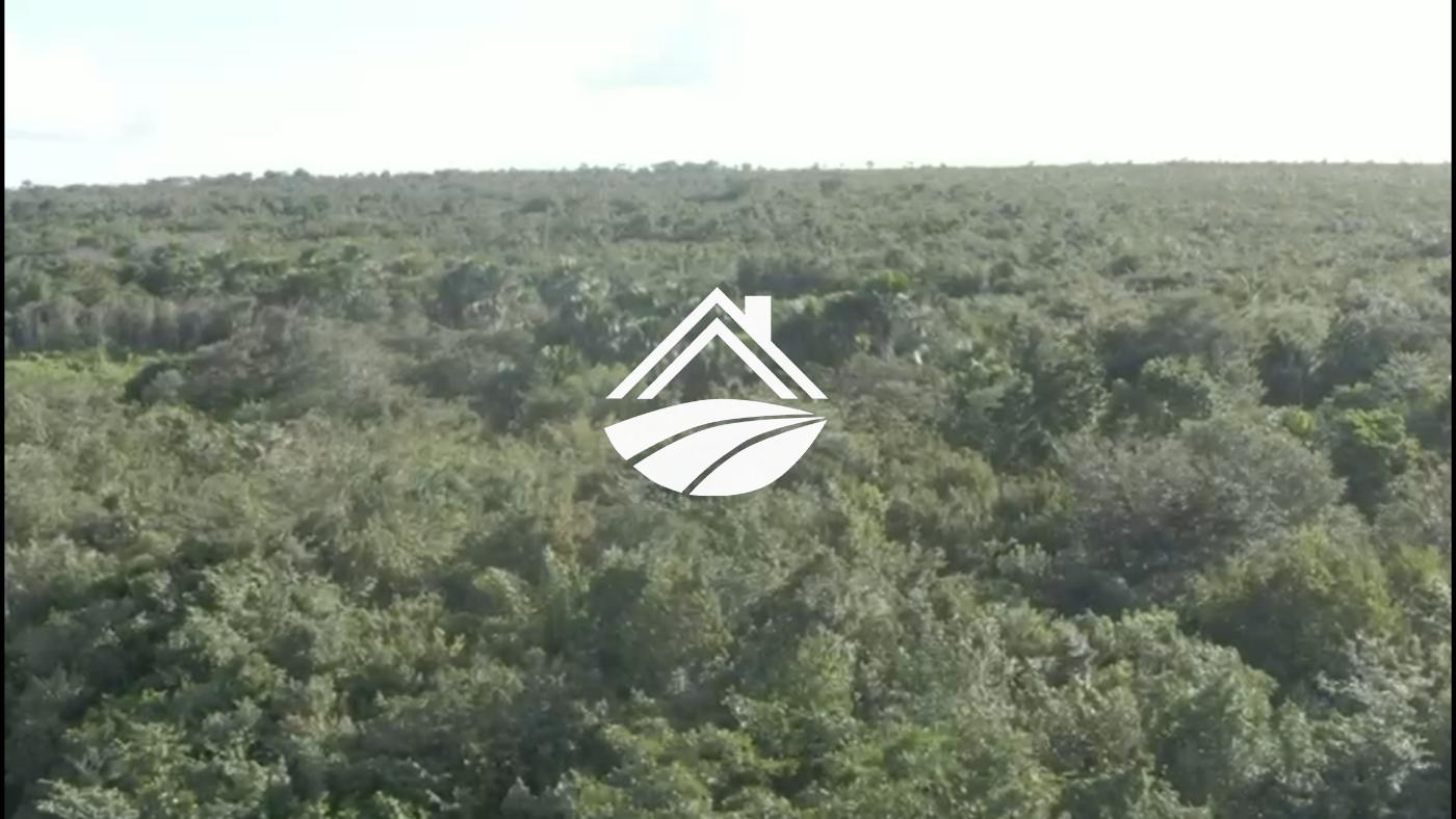 Fazenda, 1 m² - Foto 5