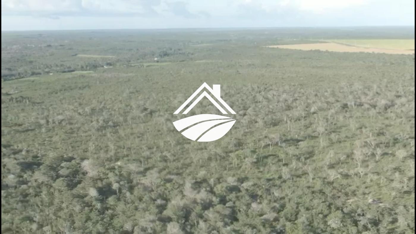 Fazenda, 1 m² - Foto 8