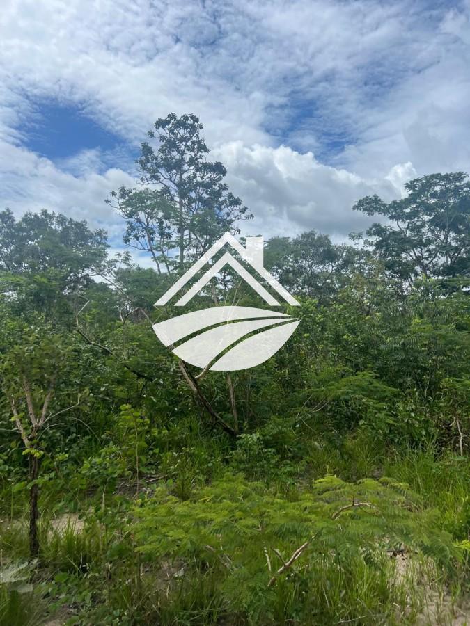 Fazenda, 1 m² - Foto 11