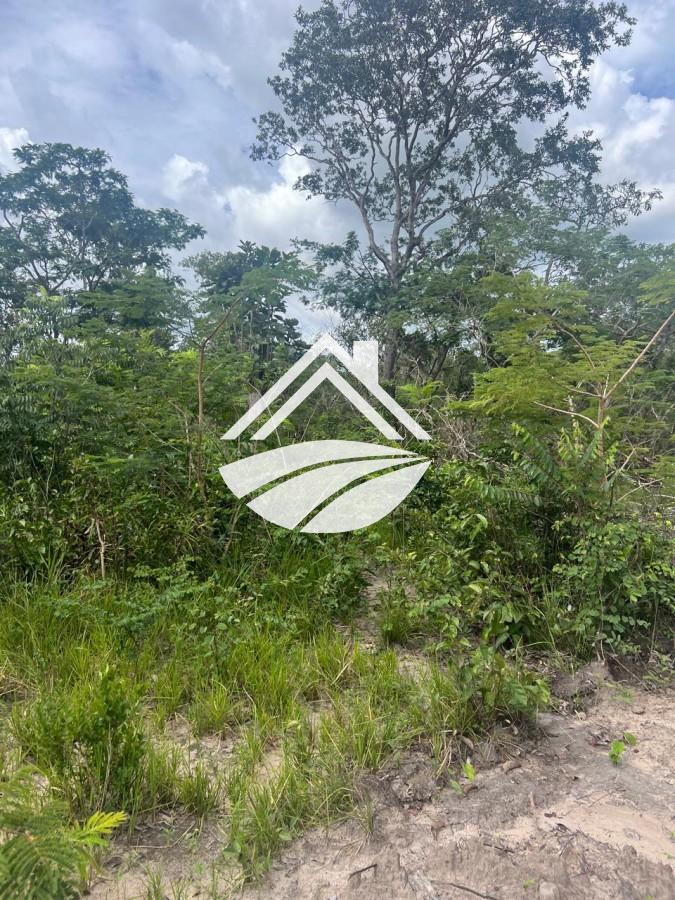 Fazenda, 1 m² - Foto 10