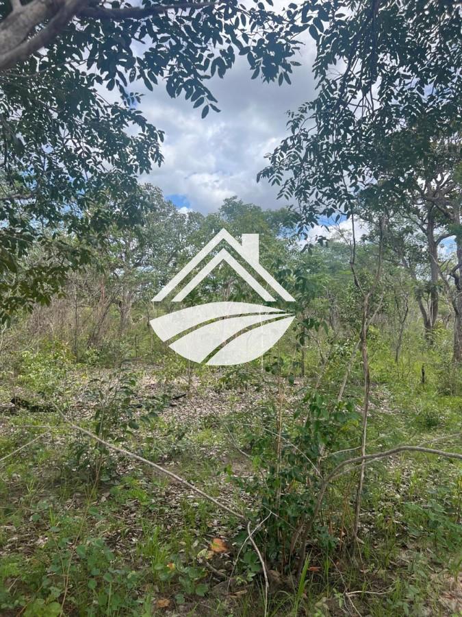 Fazenda, 1 m² - Foto 12