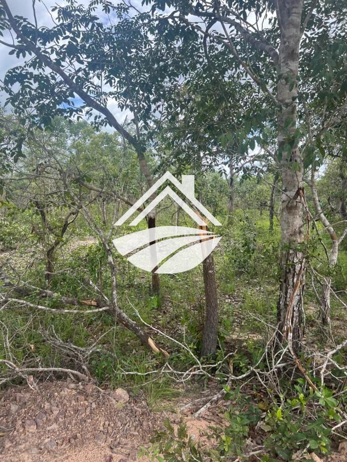 Fazenda, 1 m² - Foto 4