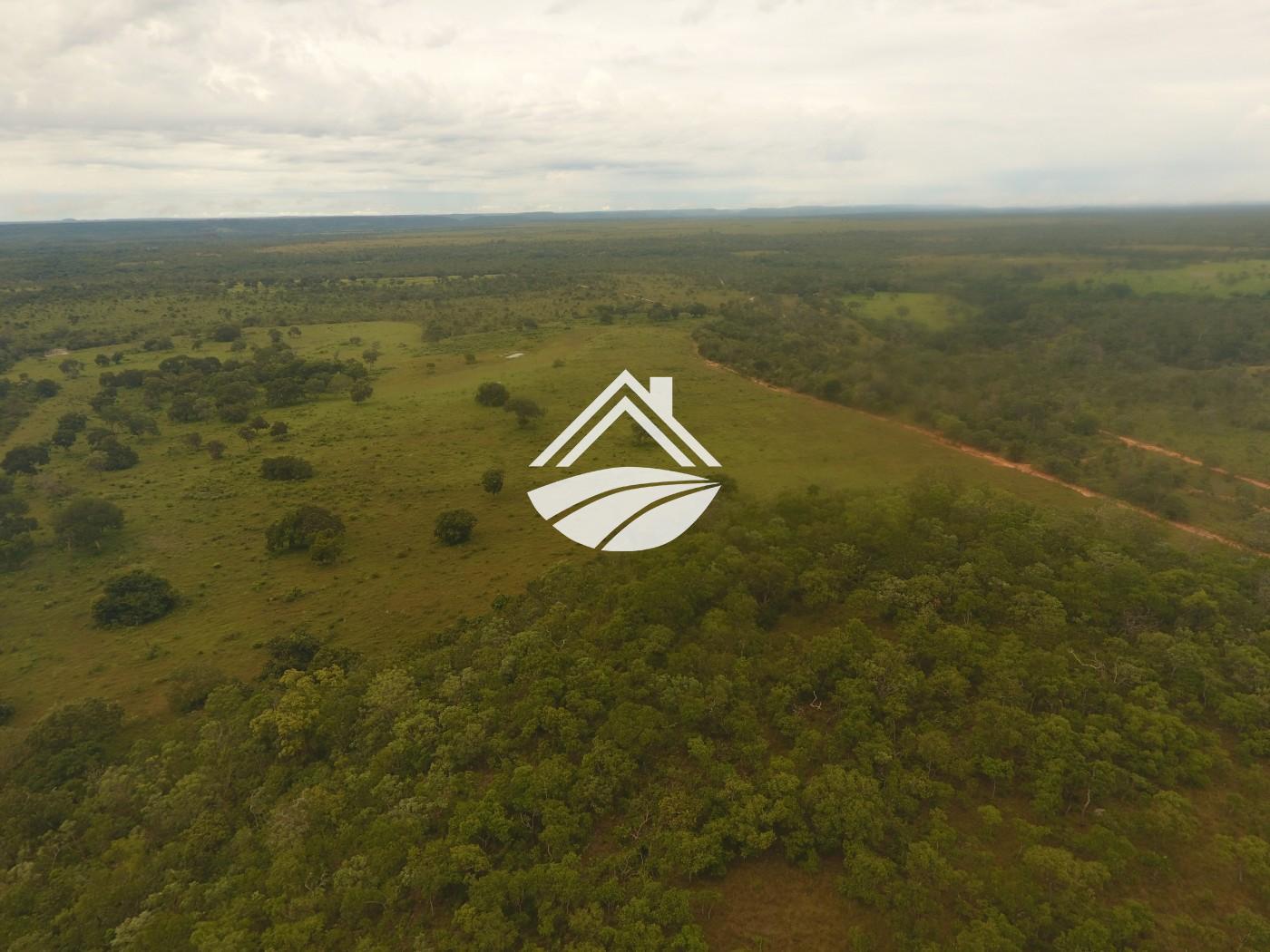 Fazenda, 1 m² - Foto 23