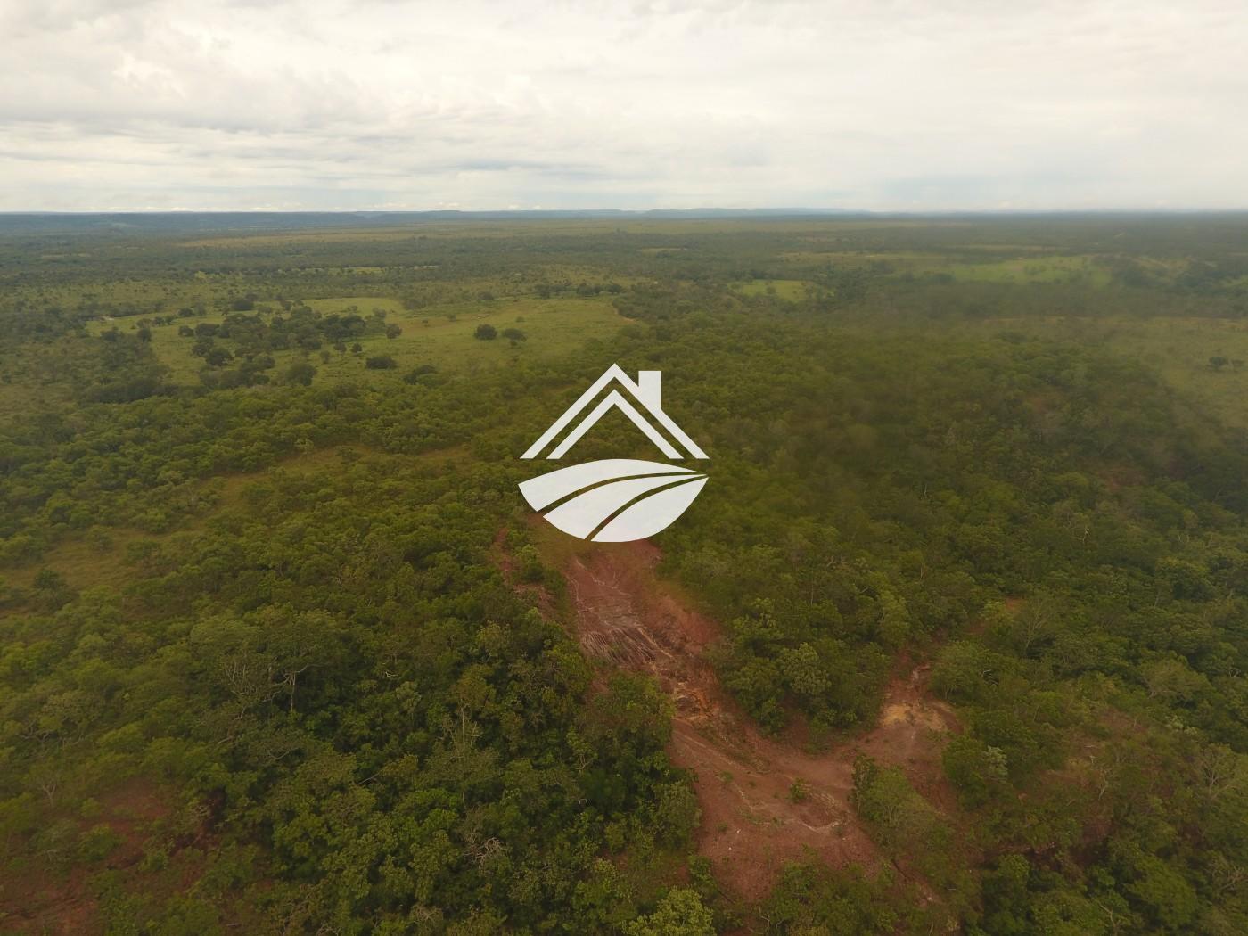 Fazenda, 1 m² - Foto 26