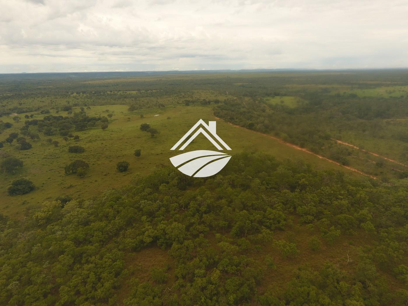 Fazenda, 1 m² - Foto 28