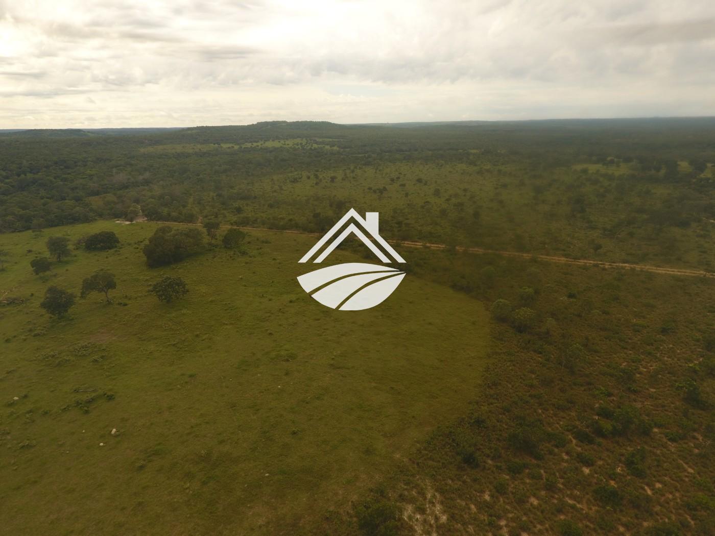 Fazenda, 1 m² - Foto 30