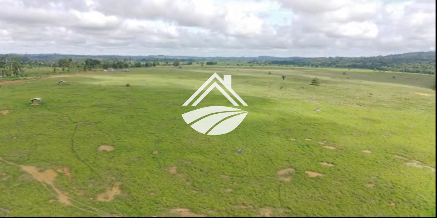 Fazenda, 1 m² - Foto 11