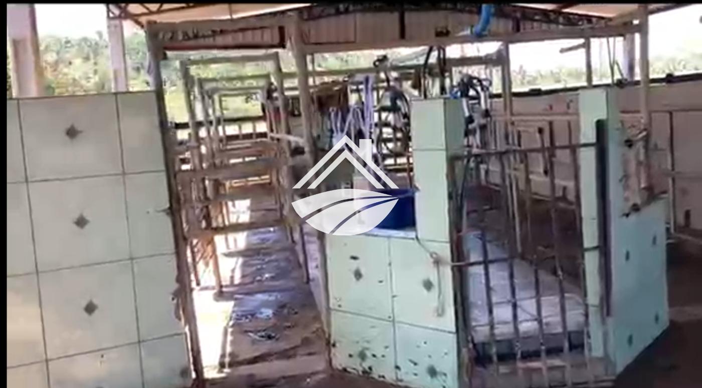 Fazenda, 1 m² - Foto 6