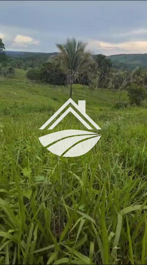 Fazenda, 1 m² - Foto 7