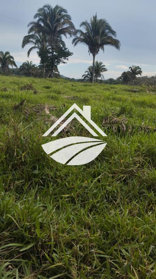 Fazenda, 1 m² - Foto 8