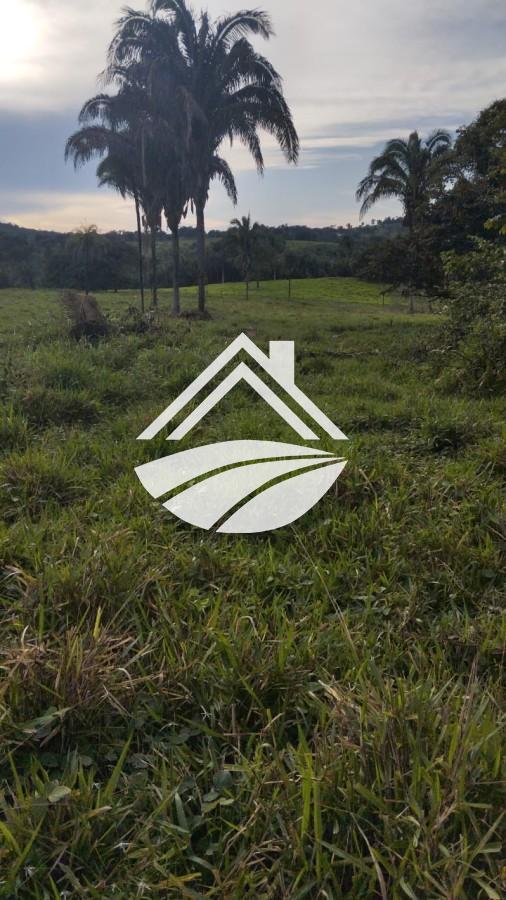 Fazenda, 1 m² - Foto 10