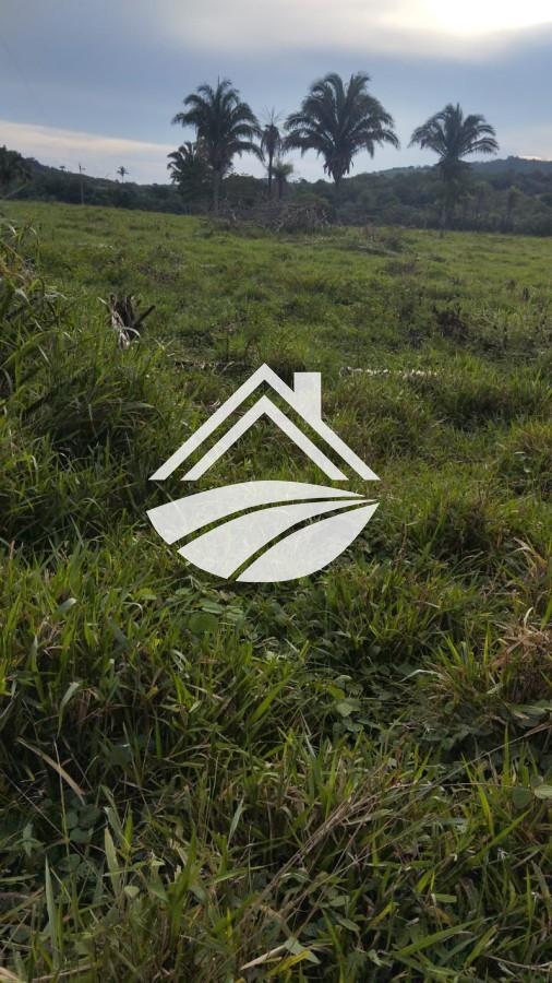 Fazenda, 1 m² - Foto 11