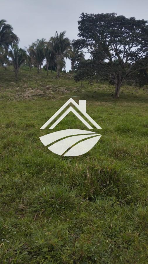 Fazenda, 1 m² - Foto 15