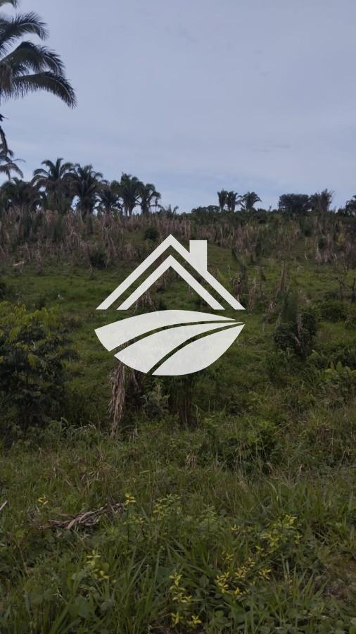 Fazenda, 1 m² - Foto 13