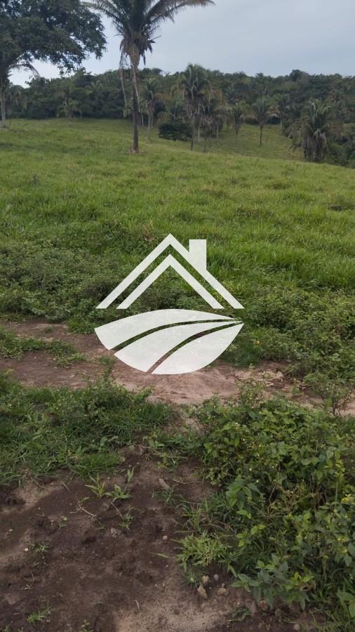 Fazenda, 1 m² - Foto 17