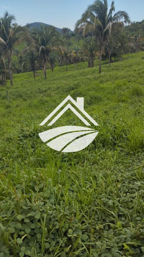 Fazenda, 1 m² - Foto 21