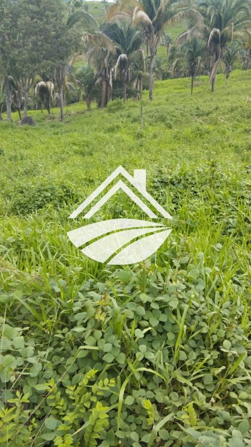 Fazenda, 1 m² - Foto 22