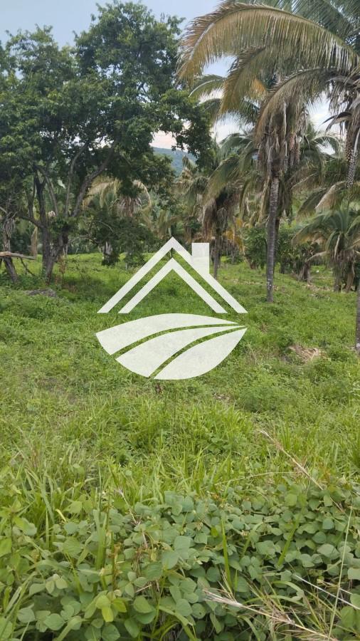 Fazenda, 1 m² - Foto 23