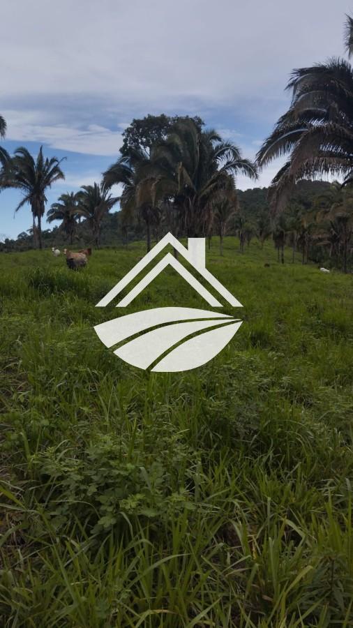 Fazenda, 1 m² - Foto 24