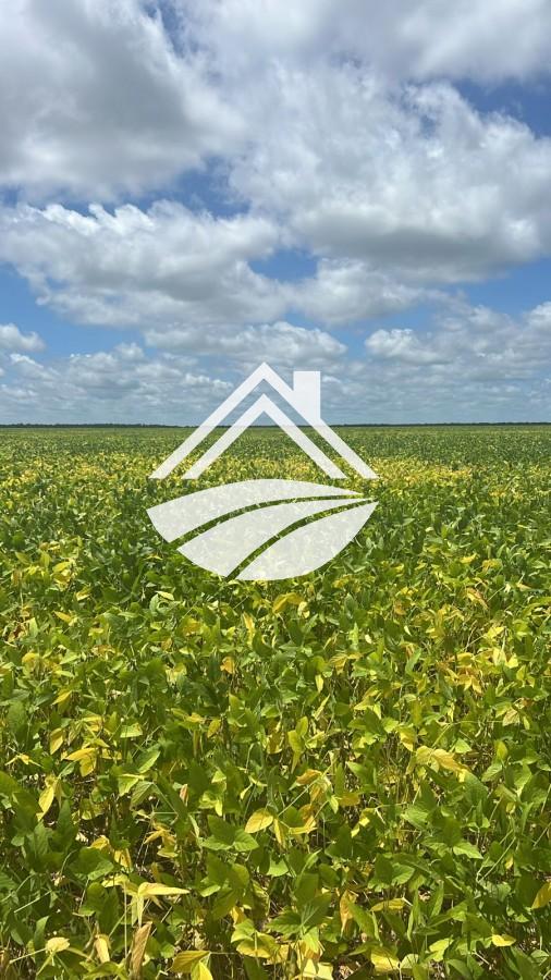 Fazenda, 1 m² - Foto 3