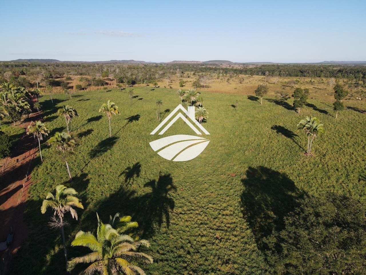 Fazenda, 193 hectares - Foto 7