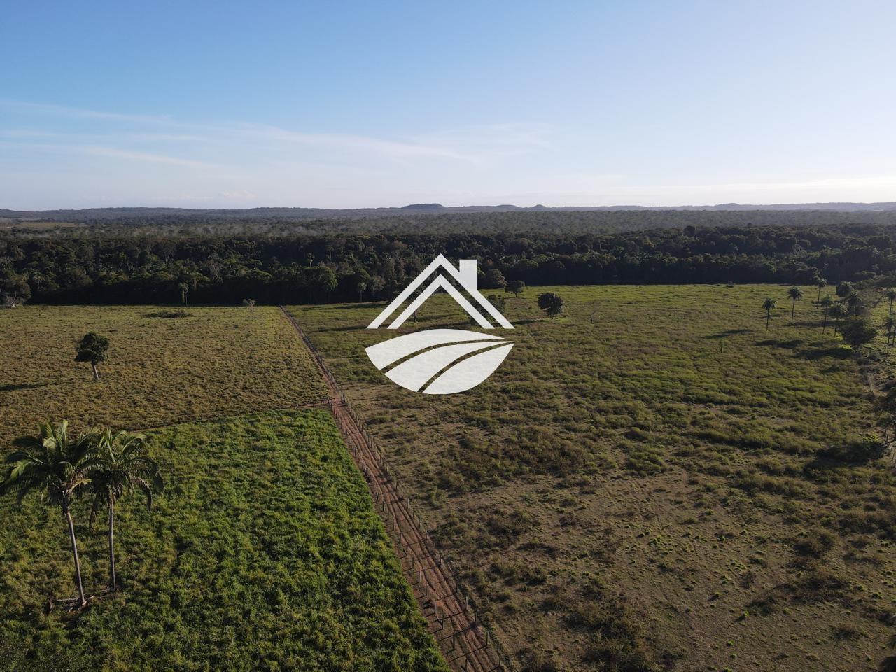 Fazenda, 193 hectares - Foto 8