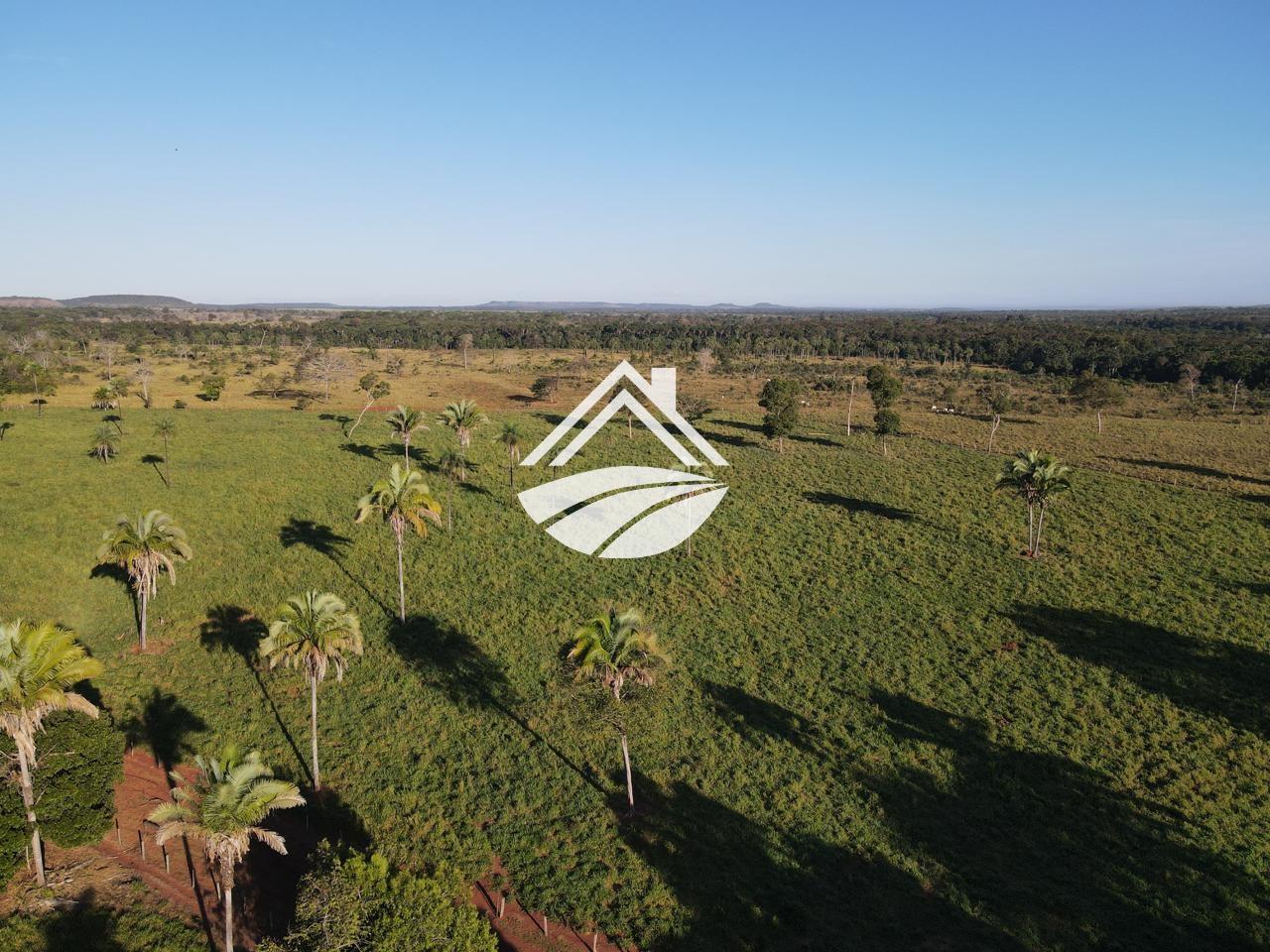 Fazenda, 193 hectares - Foto 9