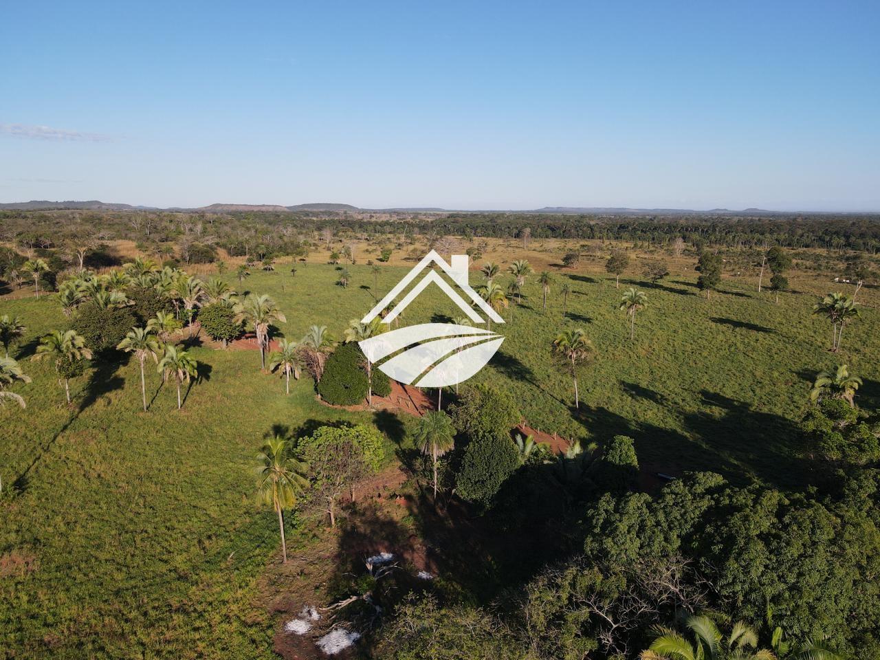Fazenda, 193 hectares - Foto 10