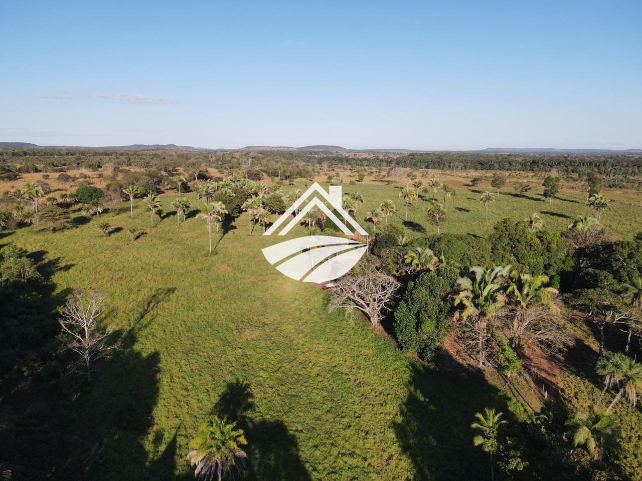 Fazenda, 193 hectares - Foto 11