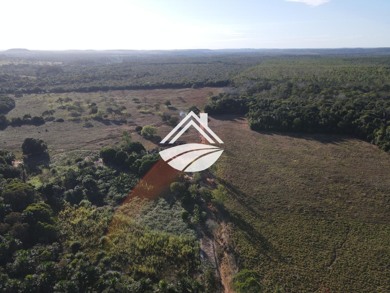 Fazenda, 193 hectares - Foto 12